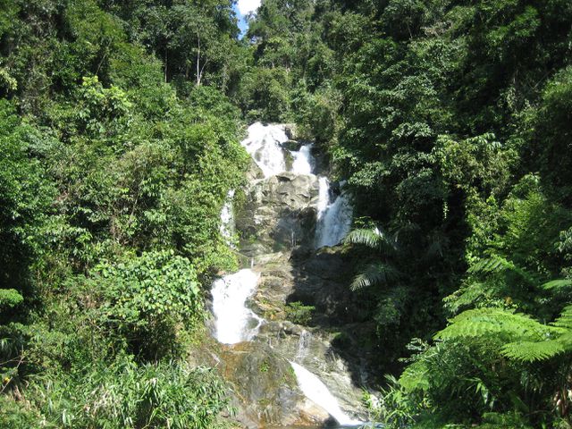 Mở[-]tour[-]du[-]lịch[-]miễn[-]phí[-]đến[-]vùng[-]sâm[-]Ngọc[-]Linh